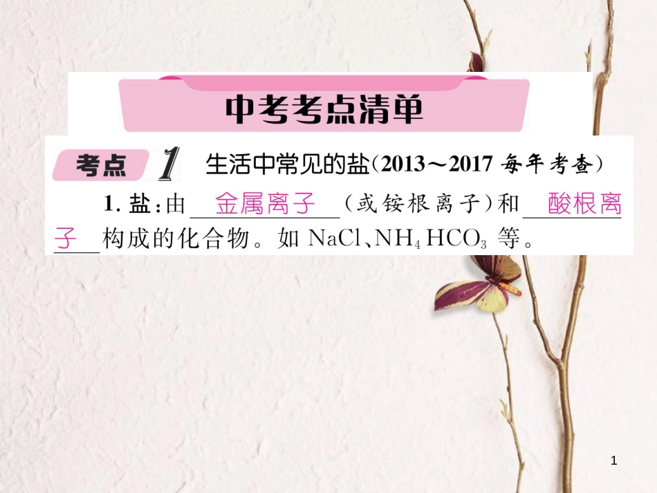 （青海专版）中考化学复习 第1编 教材知识梳理篇 第11单元 盐 化肥中考考点清单（精讲）课件_第1页