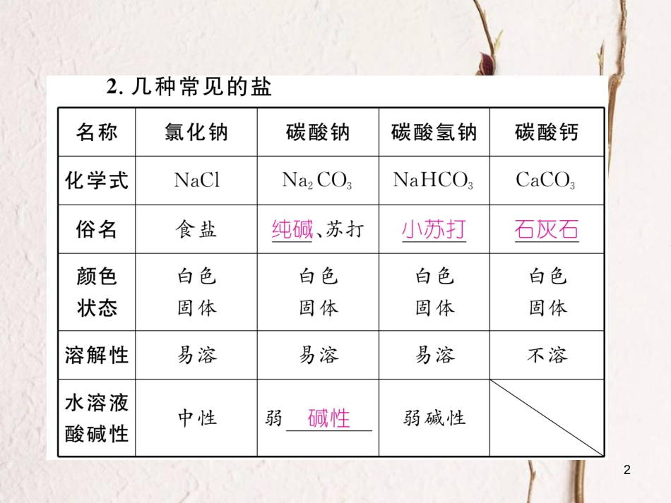 （青海专版）中考化学复习 第1编 教材知识梳理篇 第11单元 盐 化肥中考考点清单（精讲）课件_第2页