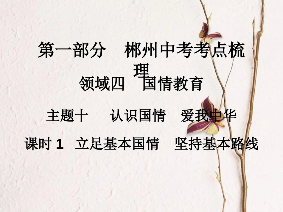 湖南省郴州市中考政治领域四国情教育课时1立足基本国情坚持基本路线课件_第1页