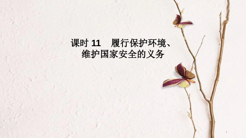 中考政治 课时11 履行保护环境、维护国家安全的义务课件_第1页