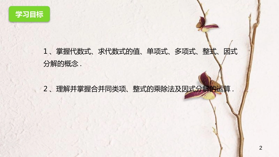 中考数学一轮复习 2 整式与因式分解课件_第2页