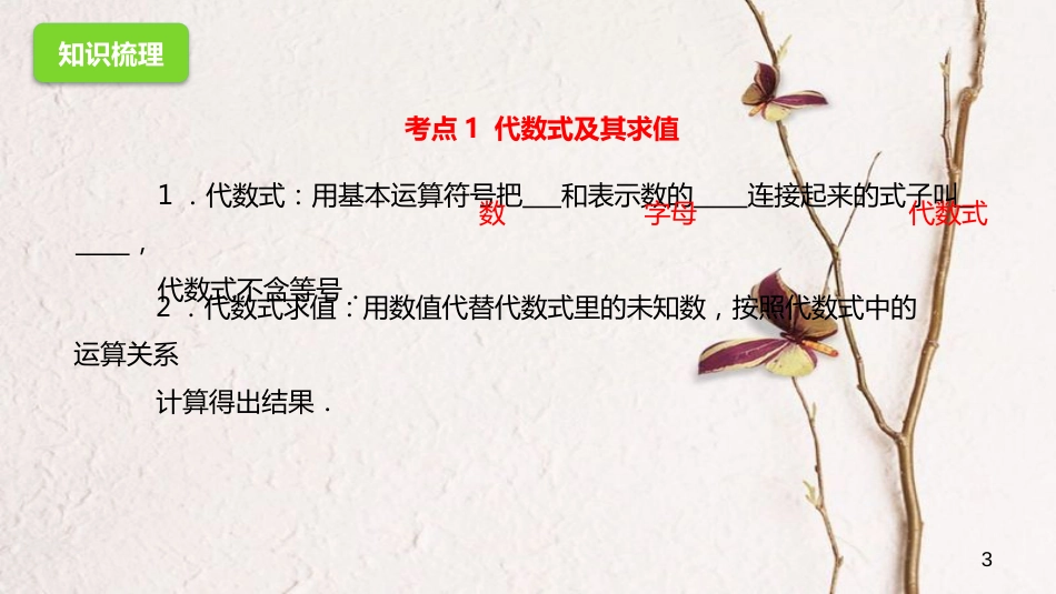 中考数学一轮复习 2 整式与因式分解课件_第3页
