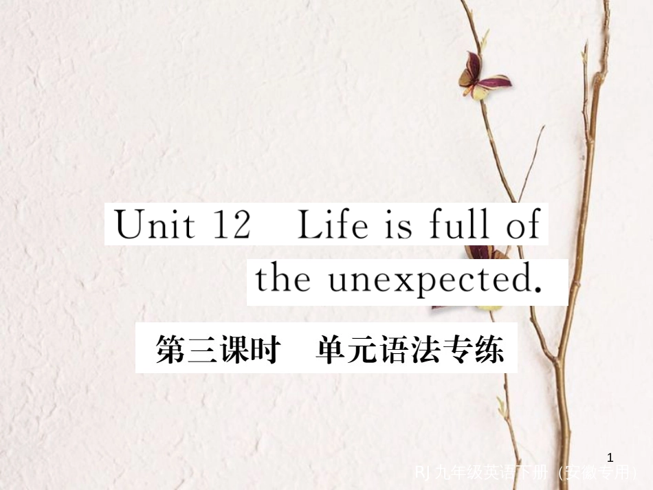 （安徽专版）九年级英语全册 Unit 12 Life is full of the unexpected（第3课时）语法专练习题课件 （新版）人教新目标版_第1页