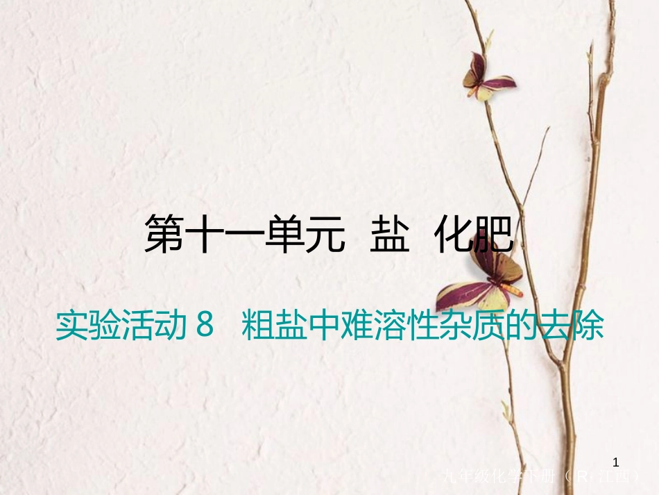 （江西专版）九年级化学下册 第11单元 盐 化肥 实验活动8 粗盐中难溶性杂质的去除课件 （新版）新人教版_第1页