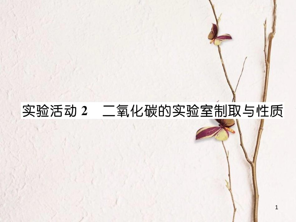 九年级化学上册 第6单元 碳和碳的氧化物 实验活动2 二氧化碳的实验室制取与性质作业课件 （新版）新人教版_第1页