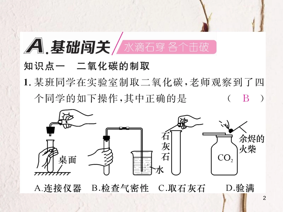 九年级化学上册 第6单元 碳和碳的氧化物 实验活动2 二氧化碳的实验室制取与性质作业课件 （新版）新人教版_第2页