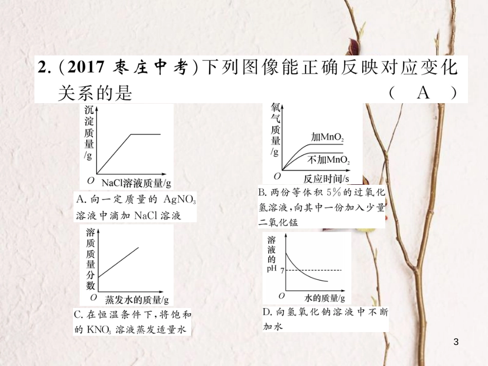 （青海专版）中考化学复习 第2编 重点题型突破篇 专题3 坐标曲线题（精练）课件_第3页