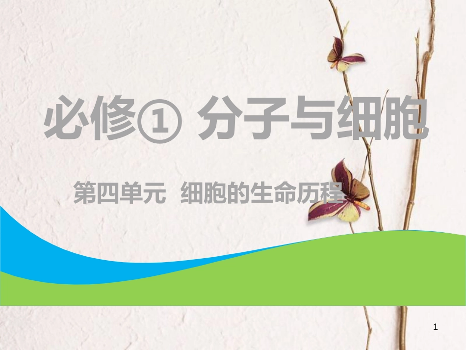 （全国通用版）2019版高考生物一轮复习 第1部分 分子与细胞 第四单元 细胞的生命历程 第1讲 细胞增殖课件_第1页