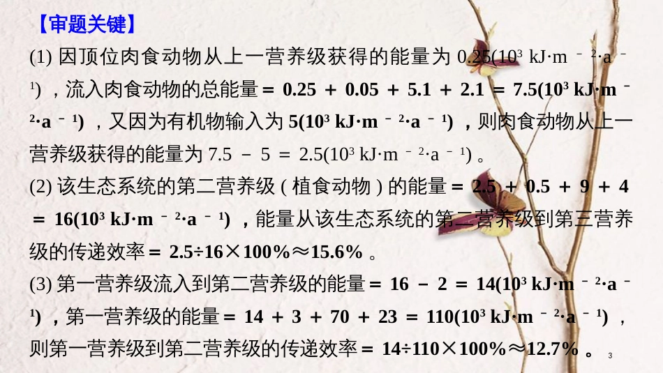2019版生物高考大一轮复习 热点题型十五 能量流动计算的相关题型课件 北师大版_第3页