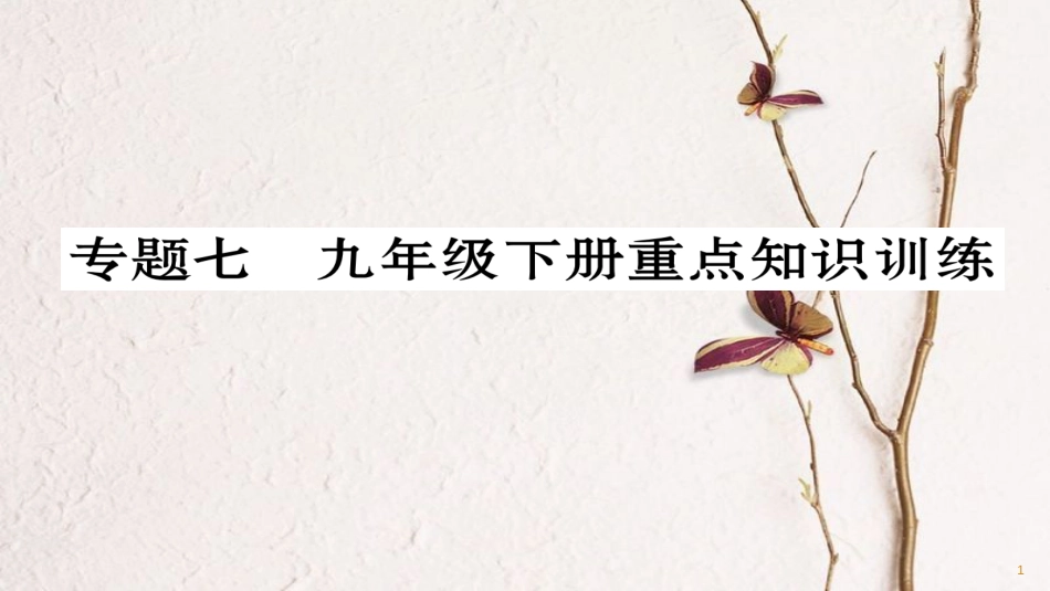 九年级数学下册 期末专题复习 专题7 九年级下册重点知识训练作业课件 （新版）华东师大版_第1页