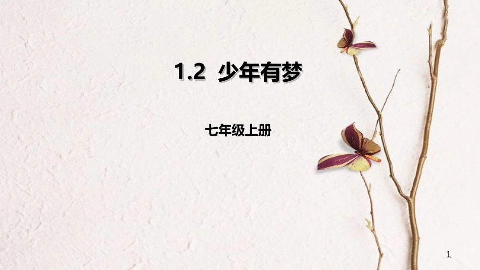 七年级道德与法治上册 第一单元 成长的节拍 第一课 中学时代 第2框《少年有梦》课件 新人教版_第1页
