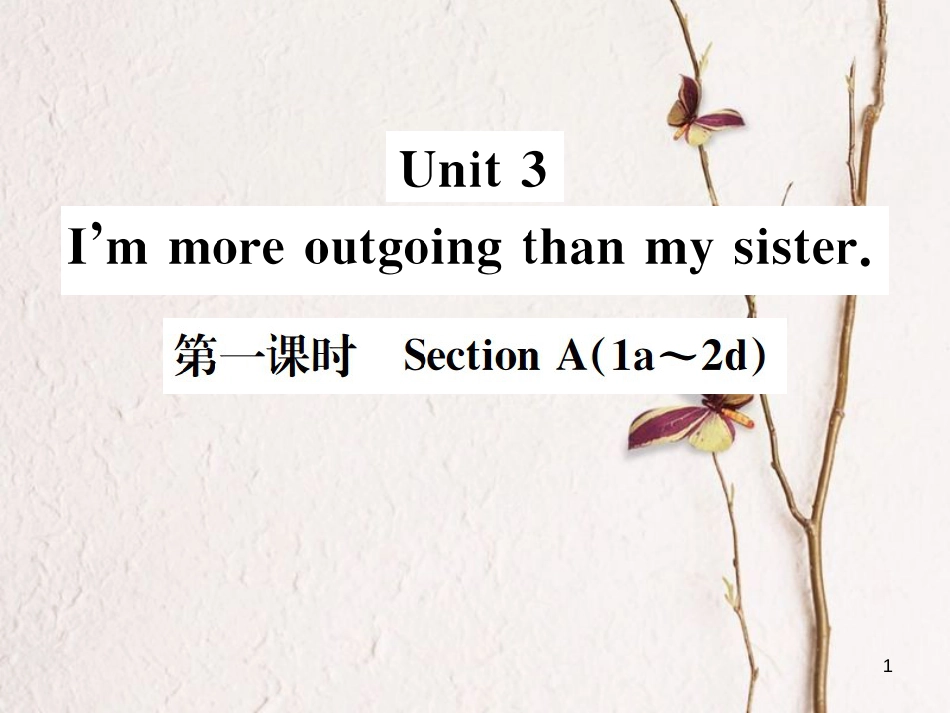 八年级英语上册 Unit 3 I’m more outgoing than my sister（第1课时）习题课件 （新版）人教新目标版_第1页