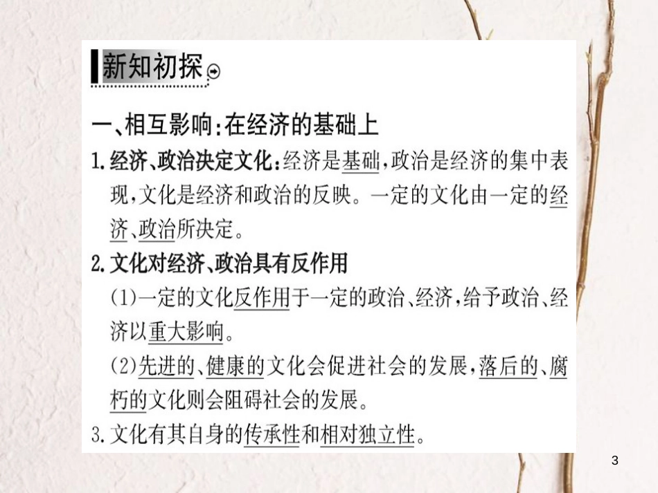 高中政治 第一单元 文化与生活 第一课 文化与社会 第二框 文化与经济、政治课件 新人教版必修3_第3页