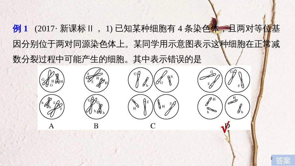 高考生物大一轮复习 热点题型四 透过细胞分裂图像解决减数分裂与可遗传变异的关系课件_第2页