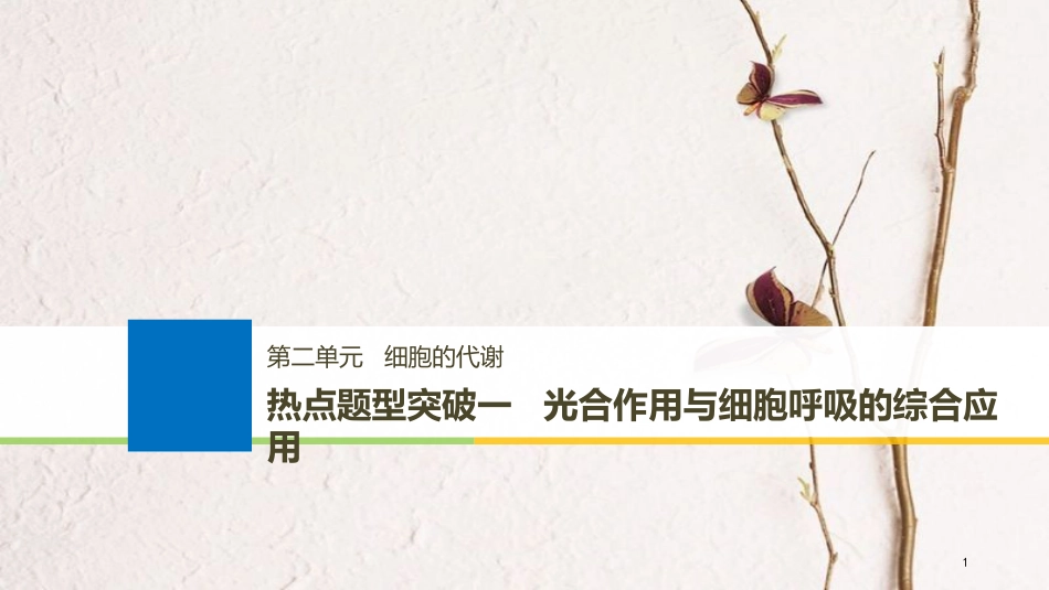 （浙江选考）2019版高考生物一轮总复习 第二单元 细胞的代谢 热点题型突破一 光合作用与细胞呼吸的综合应用课件_第1页