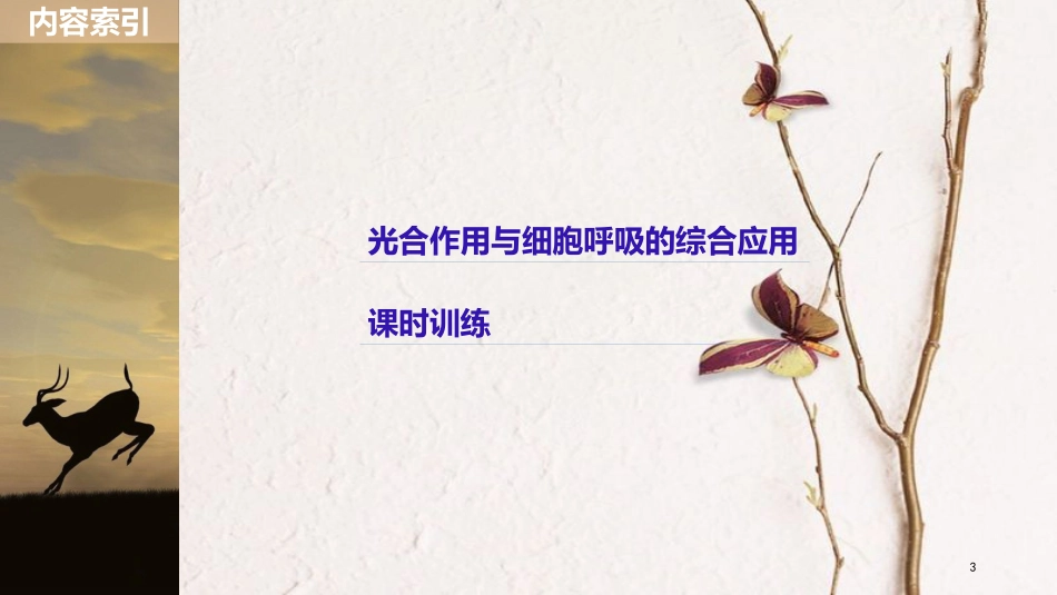（浙江选考）2019版高考生物一轮总复习 第二单元 细胞的代谢 热点题型突破一 光合作用与细胞呼吸的综合应用课件_第3页