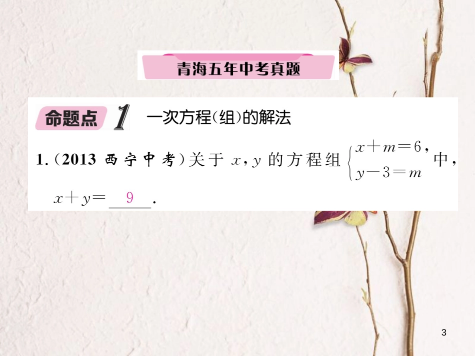 （青海专版）中考数学复习 第1编 教材知识梳理篇 第2章 方程（组）与不等式（组）第1节 一次方程（组）及其应用（精讲）课件_第3页
