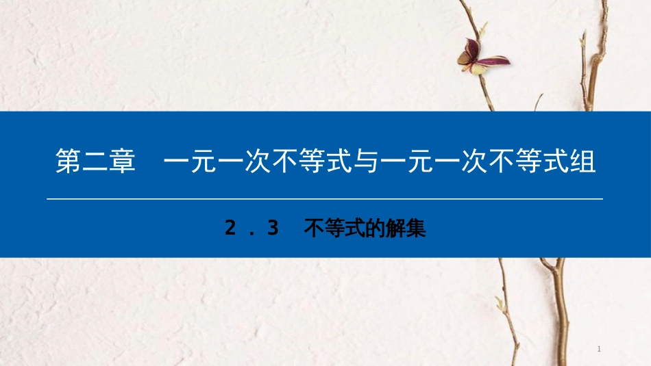 八年级数学下册 第二章 一元一次不等式与一元一次不等式组 2.3 不等式的解集典型训练课件 （新版）北师大版_第1页