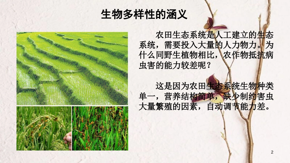 八年级生物上册 第六单元 第二章《认识生物的多样性》课件 （新版）新人教版_第2页