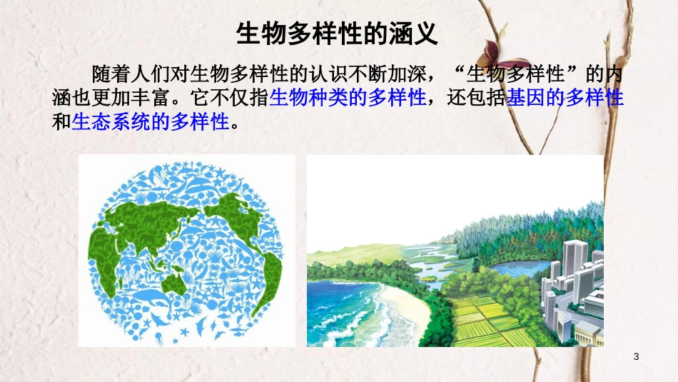 八年级生物上册 第六单元 第二章《认识生物的多样性》课件 （新版）新人教版_第3页