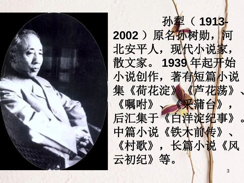 九年级语文上册 第六单元《山地回忆》课件3 北师大版_第3页