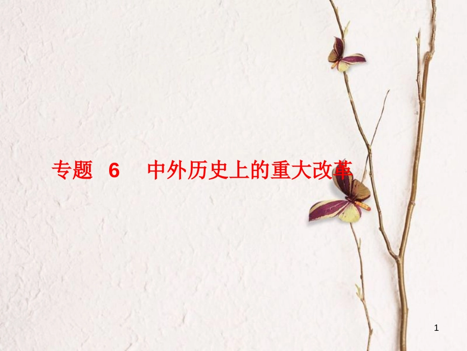 （聊城专版）2018中考历史复习 专题6 中外历史上的重大改革课件_第1页