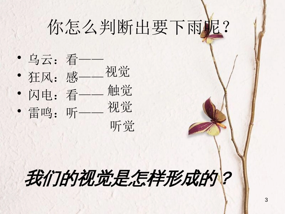 吉林省长春市七年级生物下册 4.6.1人体对外界环境的感知课件2 新人教版_第3页