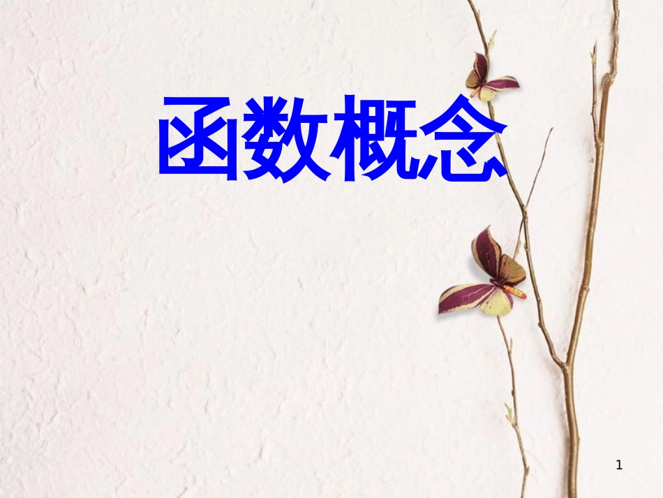山西省忻州市高考数学 专题 函数概念3复习课件_第1页