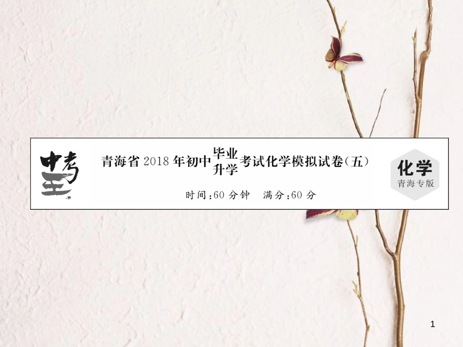 （青海专版）中考化学总复习 毕业升学考试模拟试卷（五）课件_第1页