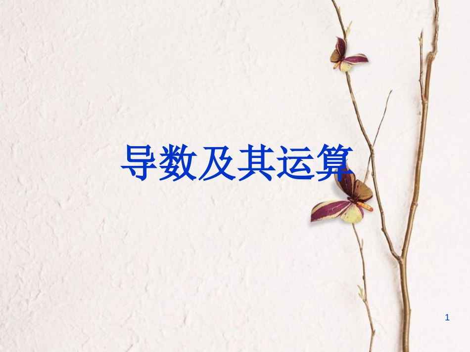 山西省忻州市高考数学 专题 导数及其运算复习课件_第1页