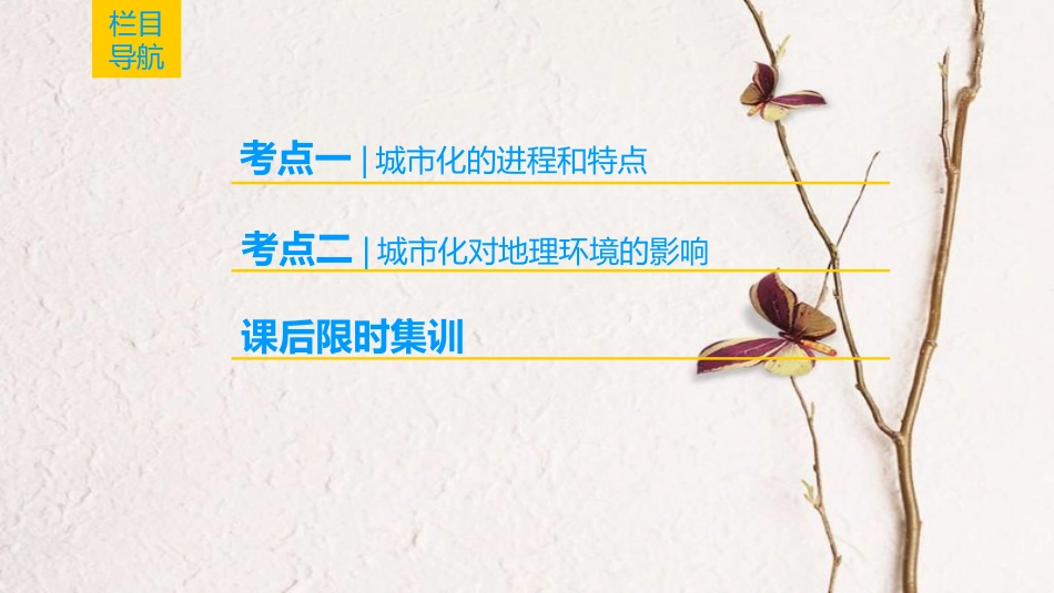 2019版高考地理一轮复习 第7章 城市与城市化 第2节 城市化课件 新人教版_第2页