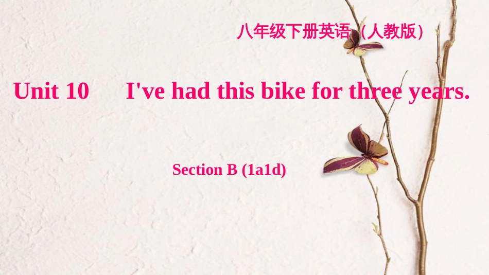 八年级英语下册 Unit 10 I've had this bike for three years Section B(1a-1d)习题课件 （新版）人教新目标版_第1页