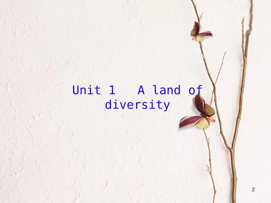 （新课标）高三英语一轮复习 Unit 1 A land of diversity课件 新人教版选修8_第2页