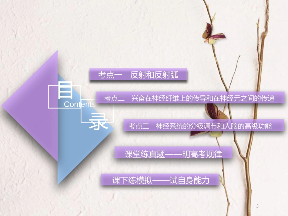 （全国通用版）2019版高考生物一轮复习 第3部分 稳态与环境 第一单元 动物和人体生命活动的调节 第2讲 通过神经系统的调节精准备考实用课件_第3页