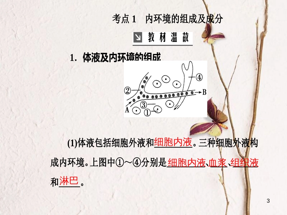 2019版高考生物总复习 第八单元 生命活动的调节 第1讲 人体的内环境与稳态课件_第3页
