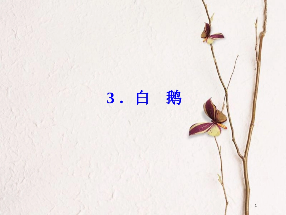 2018七年级语文下册 第一单元 3 白鹅习题课件 语文版_第1页