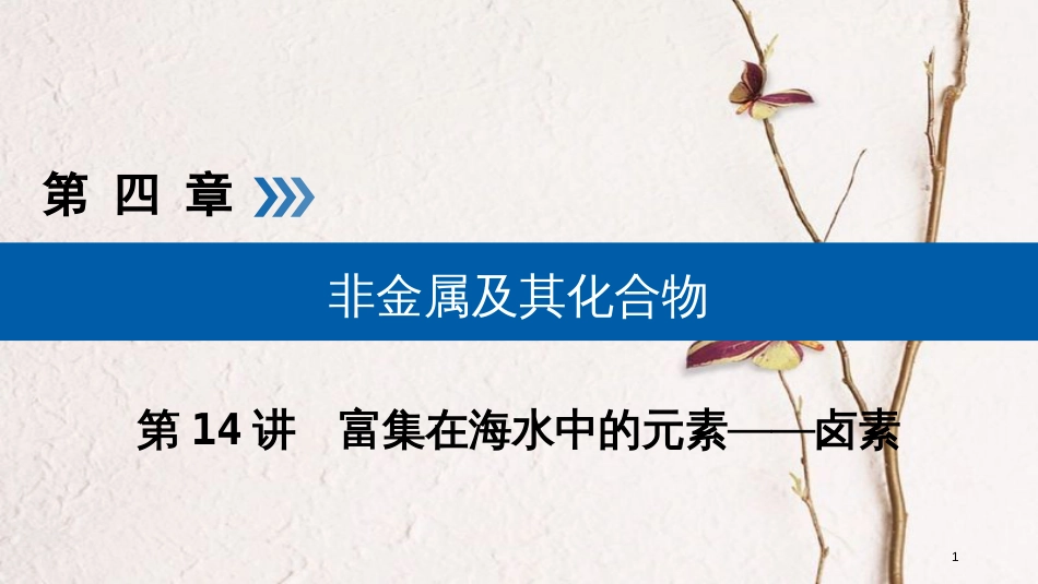 （全国通用版）2019版高考化学大一轮复习 第14讲 富集在海水中的元素 考点1 氯及其重要化合物优选课件_第1页