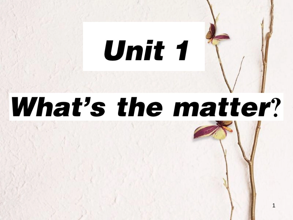 八年级英语下册 Unit 1 What’s the matter（第4课时）习题课件 （新版）人教新目标版_第1页