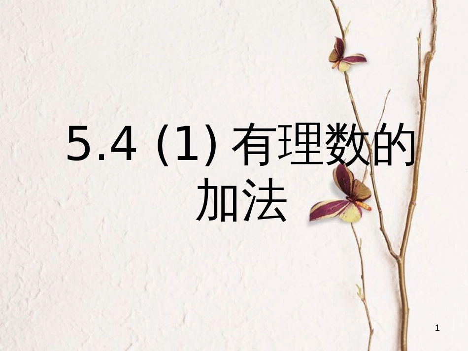 六年级数学上册 第5章 有理数 5.4 有理数的加法(1)课件 鲁教版五四制_第1页