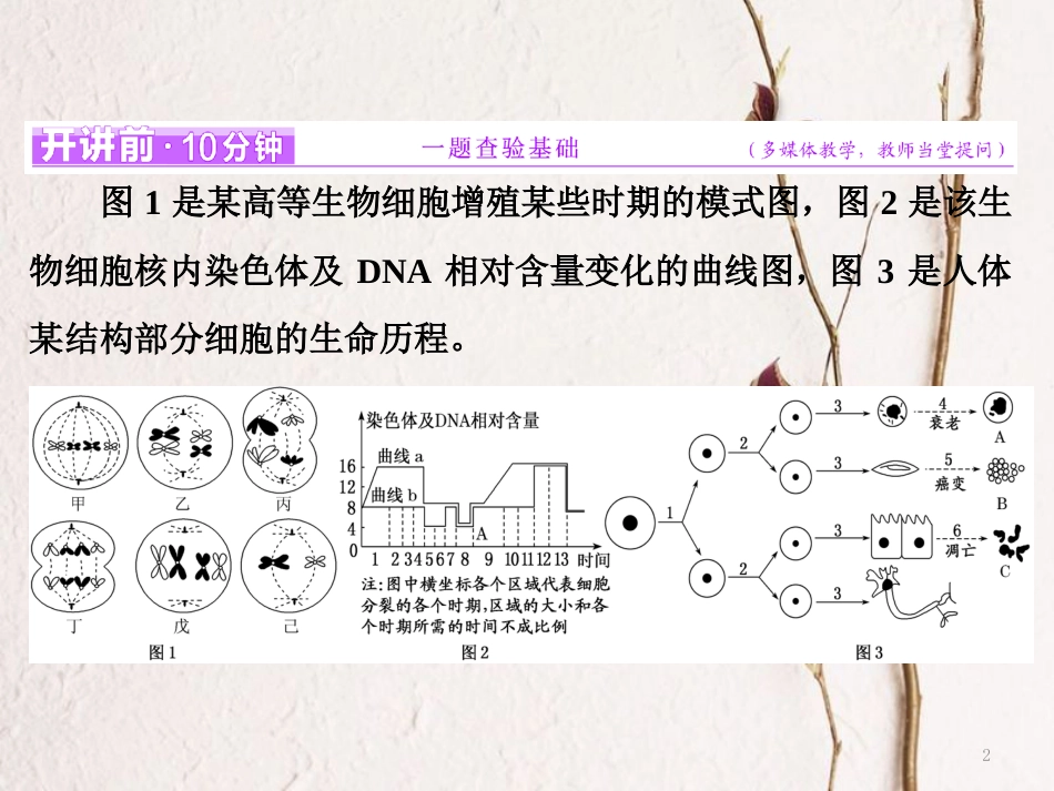 （全国通用）高考生物二轮复习 专题一 细胞 串讲二 细胞的生命历程 第2课时 高考研究课件_第2页