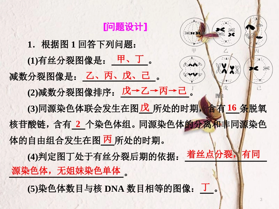 （全国通用）高考生物二轮复习 专题一 细胞 串讲二 细胞的生命历程 第2课时 高考研究课件_第3页
