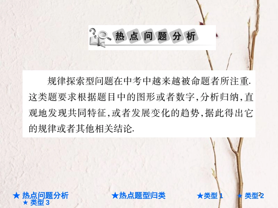 中考数学总复习 第二部分 重点专题提升 专题一 规律探索型问题课件_第2页