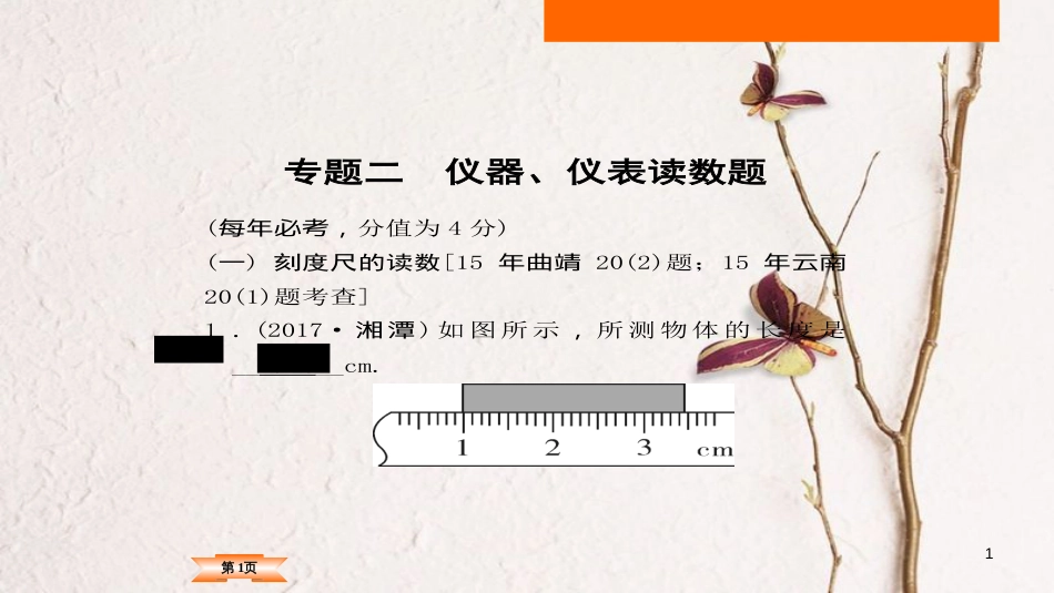 （云南专版）2018中考物理总复习 专题突破2 仪器、仪表读数题课件_第1页