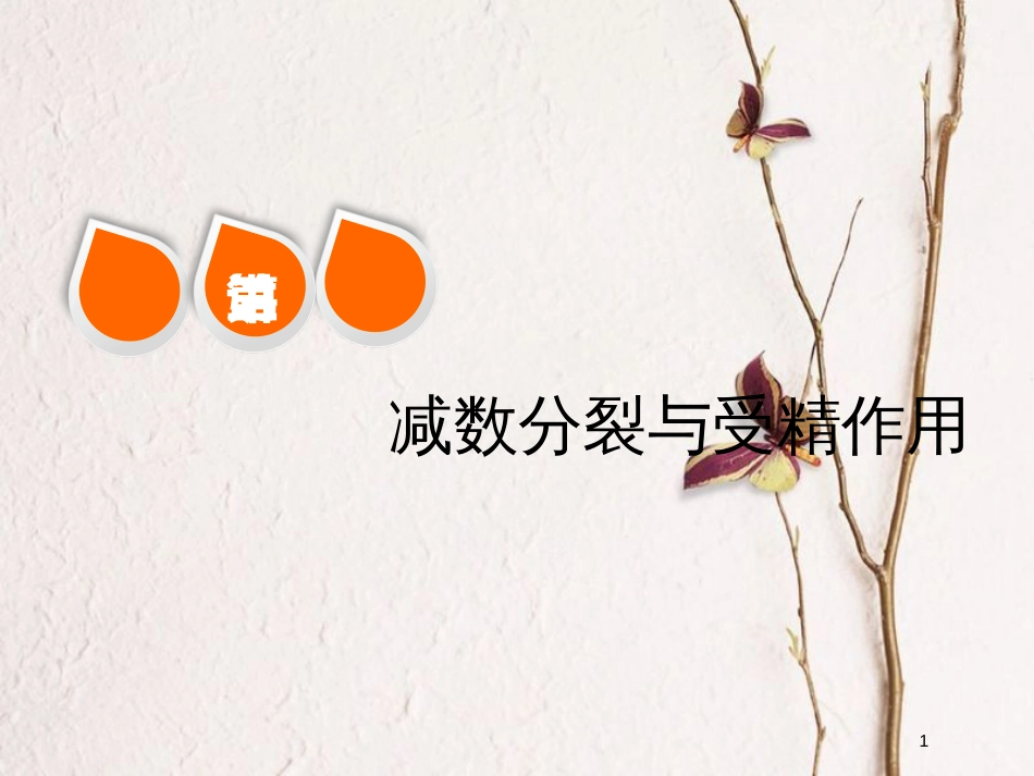 2019版高考生物一轮复习 第四单元 细胞的生命历程 第三讲 减数分裂与受精作用精选课件_第1页