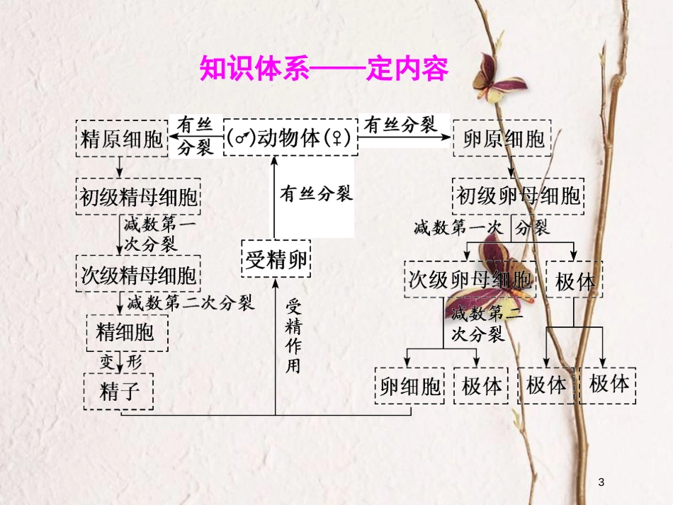 2019版高考生物一轮复习 第四单元 细胞的生命历程 第三讲 减数分裂与受精作用精选课件_第3页