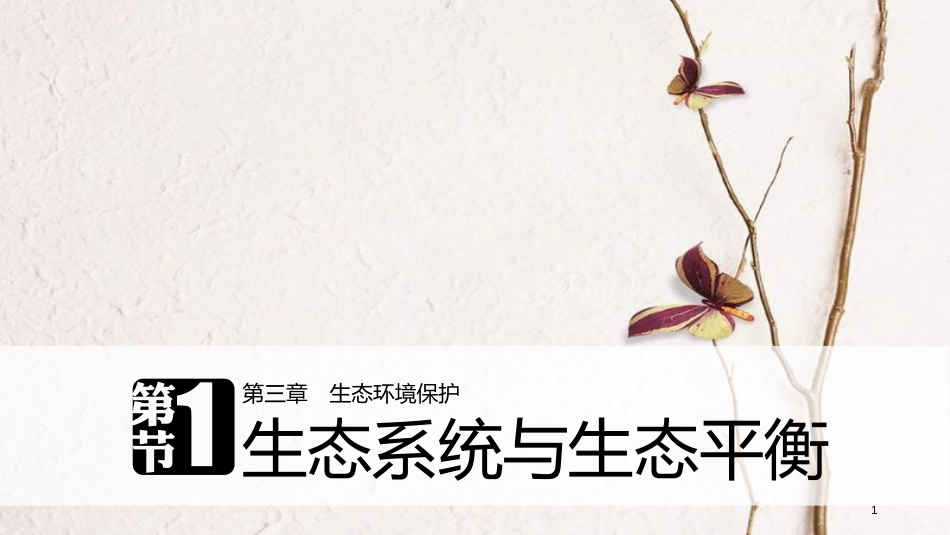 高中地理 第三章 生态环境保护 第一节 生态系统与生态平衡同步备课课件 湘教版选修6_第1页