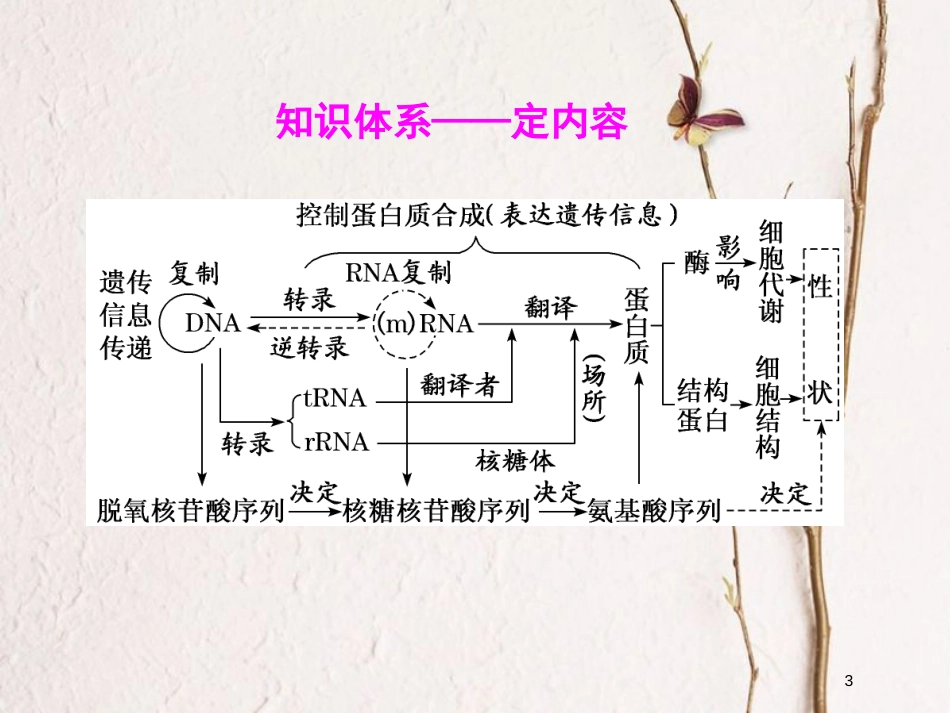 2019版高考生物一轮复习 第六单元 基因的本质与表达 第三讲 基因的表达精选课件_第3页