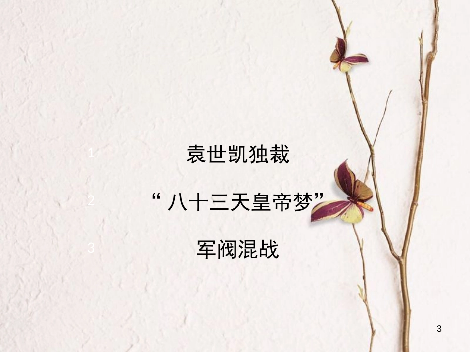 八年级历史上册 10《北洋军阀的统治》课件 岳麓版_第3页