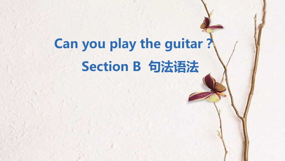 七年级英语下册 Unit 1 Can you play the guitar Section B句法语法课件 （新版）人教新目标版_第1页