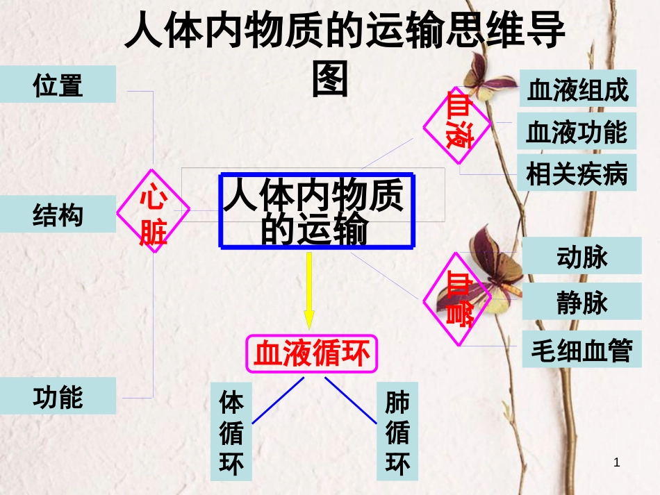 湖南省张家界市桑植县七年级生物下册 第四单元 第四章 第三节 心脏课件2 （新版）新人教版_第1页